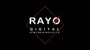 Rayo Digital Animandote - Electrifica tu Marca con Soluciones para Webs y Apps